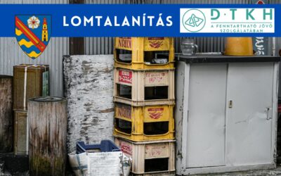 LOMTALANÍTÁS